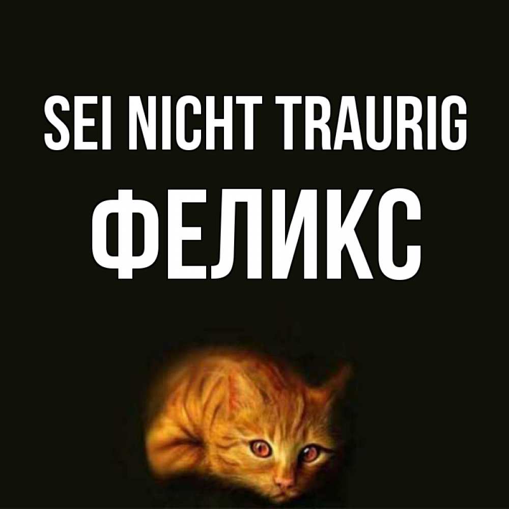 Открытка на каждый день с именем, Феликс Sei nicht traurig лежащий кот в темноте Прикольная открытка с пожеланием онлайн скачать бесплатно 