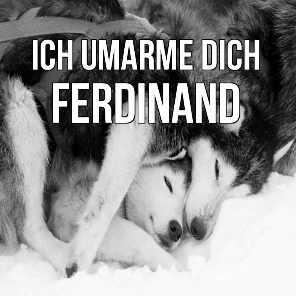 Открытка на каждый день с именем, Ferdinand Ich umarme dich собачки в упряжке Прикольная открытка с пожеланием онлайн скачать бесплатно 