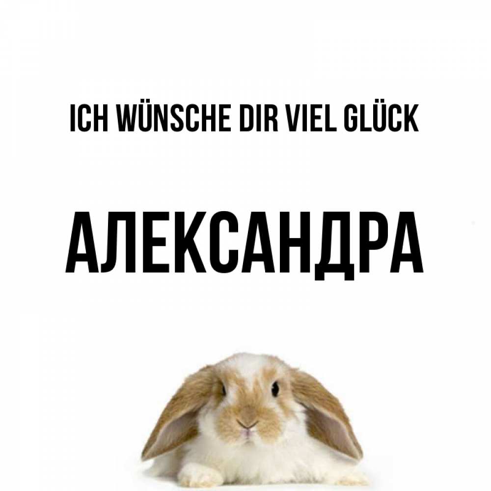 Открытка на каждый день с именем, Александра Ich wünsche dir viel Glück открытки с произвольным текстом который можно вставить в открытку и создать ее самостоятельно бесплатно онлайн Прикольная открытка с пожеланием онлайн скачать бесплатно 