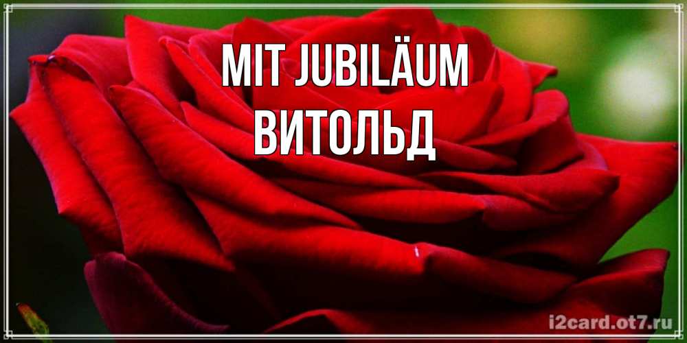 Открытка на каждый день с именем, Витольд Mit Jubiläum розочка очень красивая Прикольная открытка с пожеланием онлайн скачать бесплатно 
