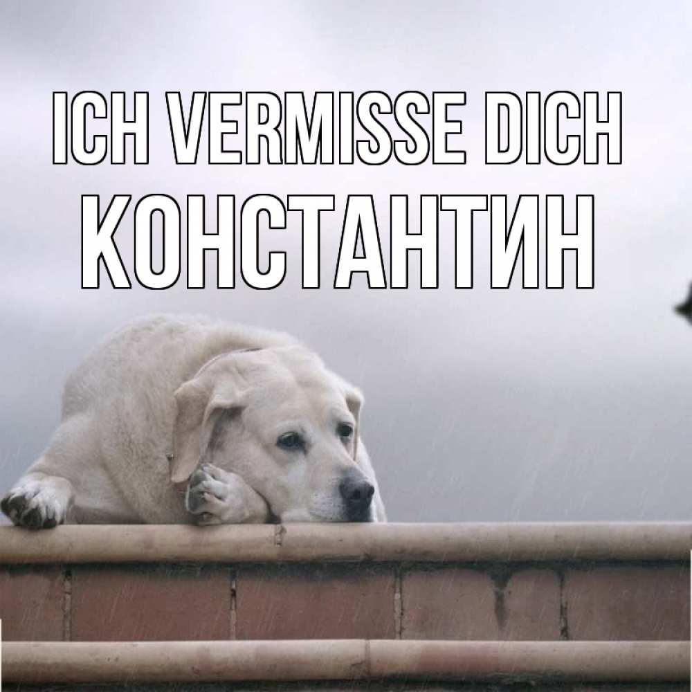Открытка на каждый день с именем, Константин Ich vermisse dich ждет Прикольная открытка с пожеланием онлайн скачать бесплатно 