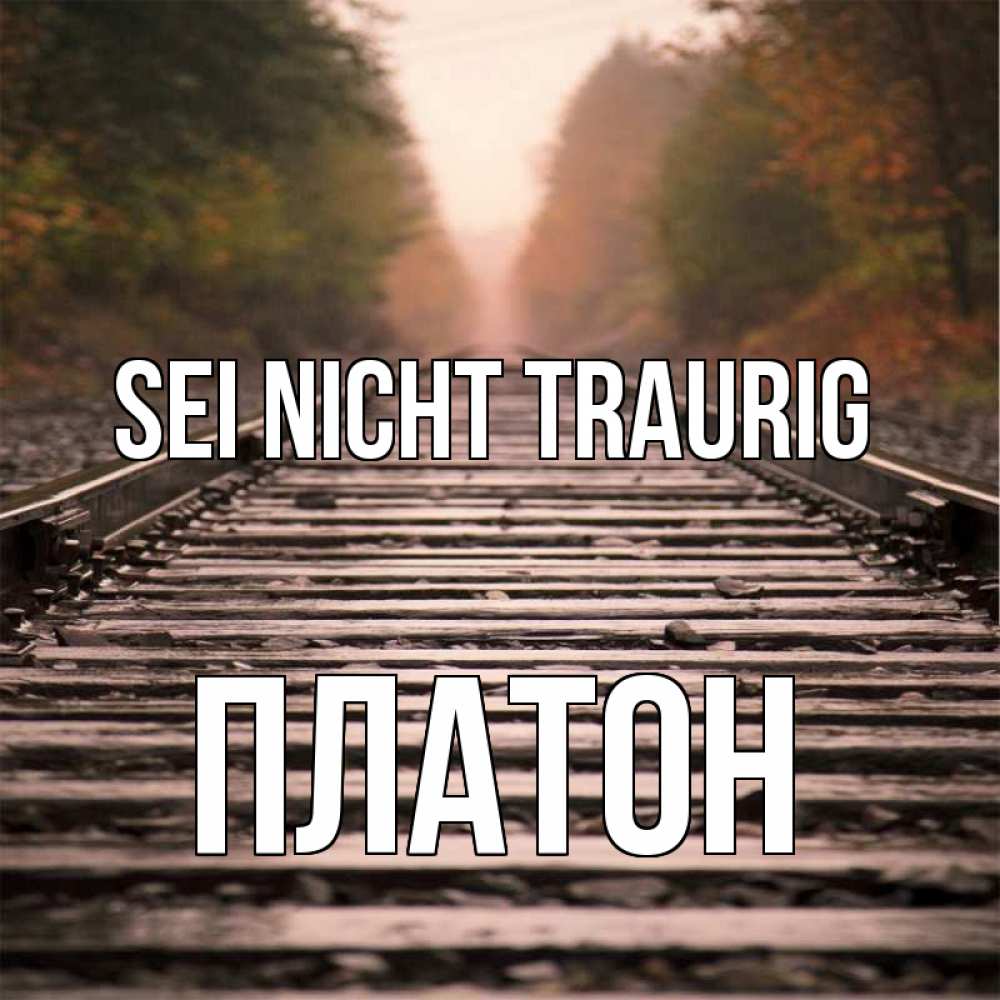 Открытка на каждый день с именем, Платон Sei nicht traurig лес и железная дорога Прикольная открытка с пожеланием онлайн скачать бесплатно 