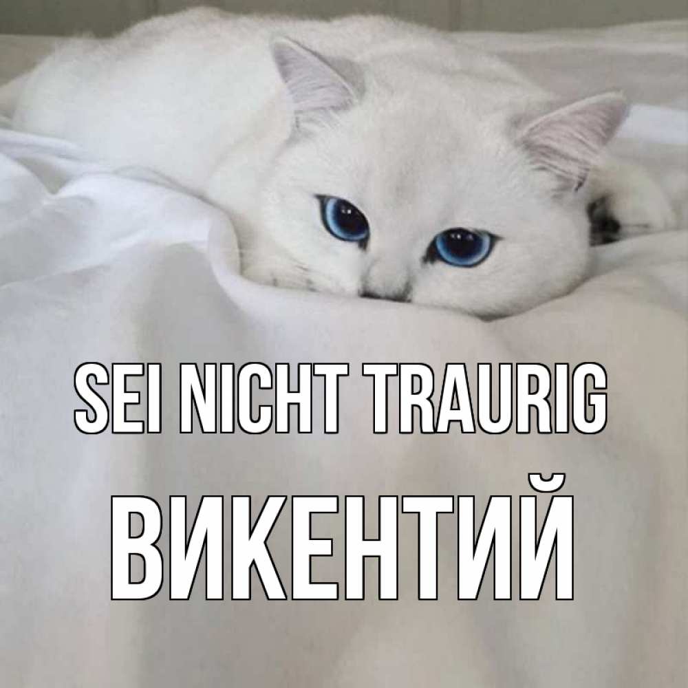 Открытка на каждый день с именем, Викентий Sei nicht traurig белый кот с голубыми глазами на белоснежной кровати Прикольная открытка с пожеланием онлайн скачать бесплатно 
