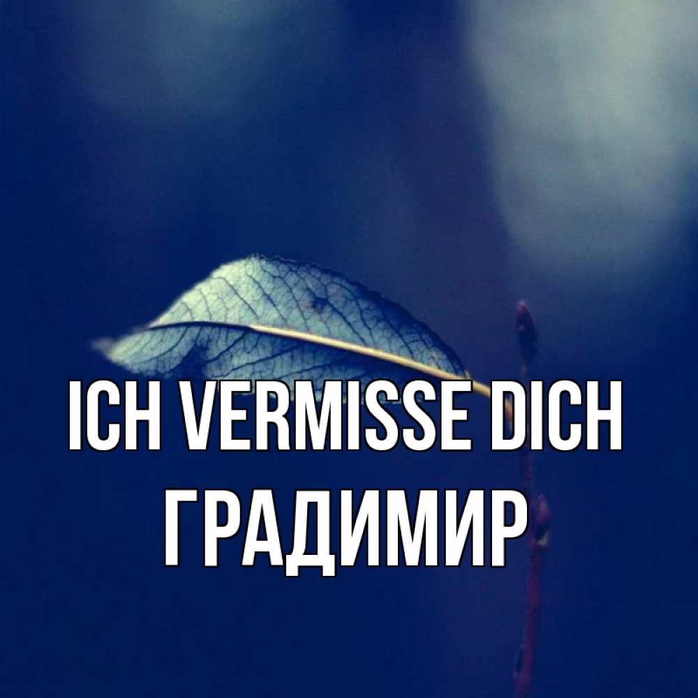 Открытка на каждый день с именем, Градимир Ich vermisse dich одна ветка 1 Прикольная открытка с пожеланием онлайн скачать бесплатно 