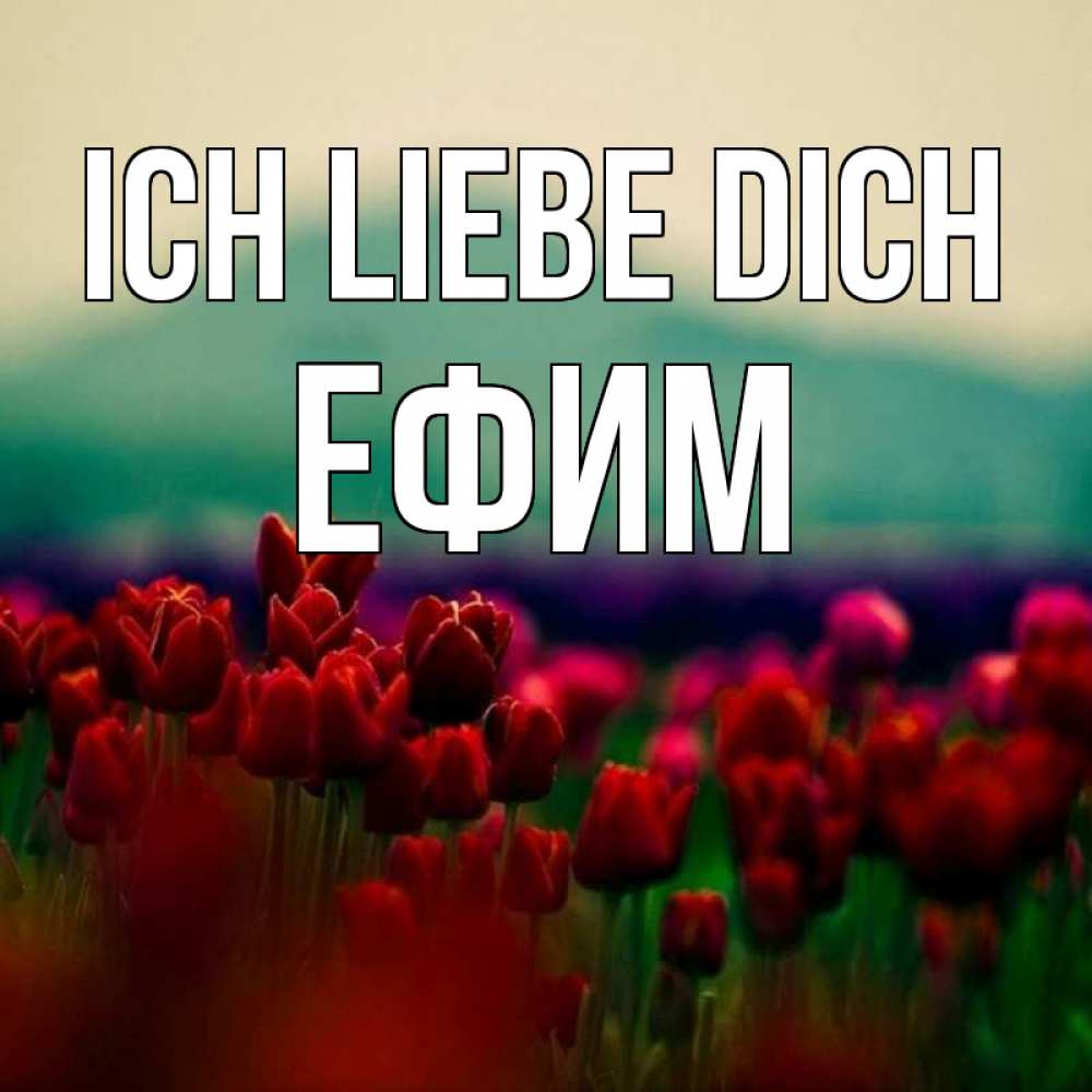 Открытка на каждый день с именем, Ефим Ich liebe dich тюльпаны 4 Прикольная открытка с пожеланием онлайн скачать бесплатно 