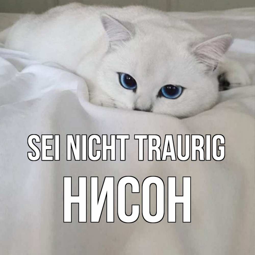 Открытка на каждый день с именем, Нисон Sei nicht traurig белый кот с голубыми глазами на белоснежной кровати Прикольная открытка с пожеланием онлайн скачать бесплатно 