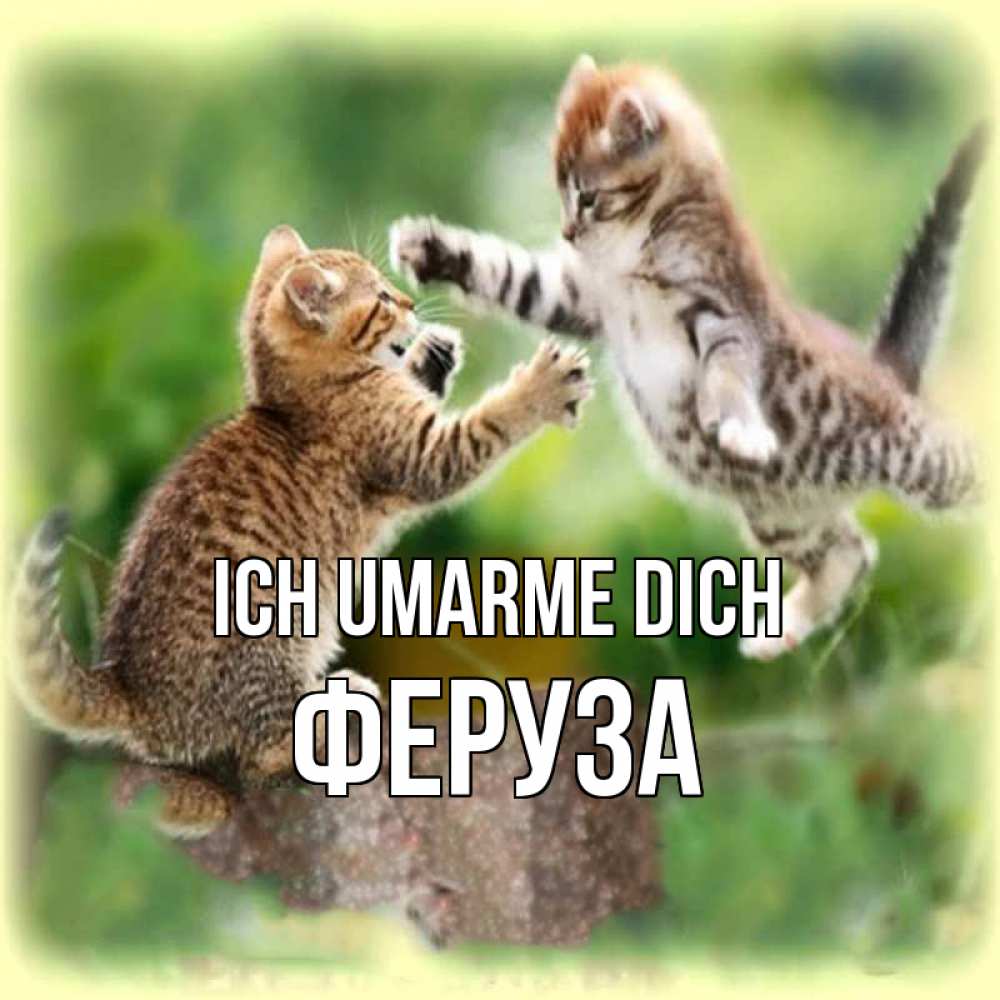Открытка на каждый день с именем, Феруза Ich umarme dich игры котят Прикольная открытка с пожеланием онлайн скачать бесплатно 