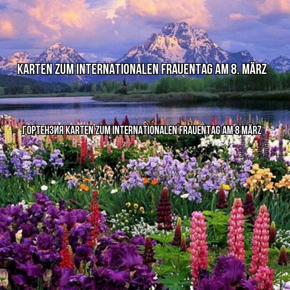 Картинка Karten zum Internationalen Frauentag am 8. März, Гортензия