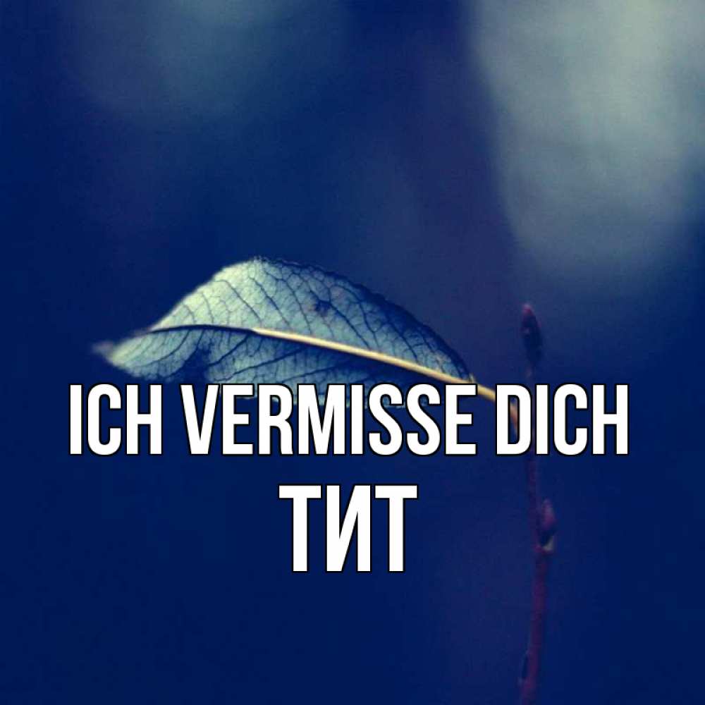 Открытка на каждый день с именем, Тит Ich vermisse dich одна ветка 1 Прикольная открытка с пожеланием онлайн скачать бесплатно 