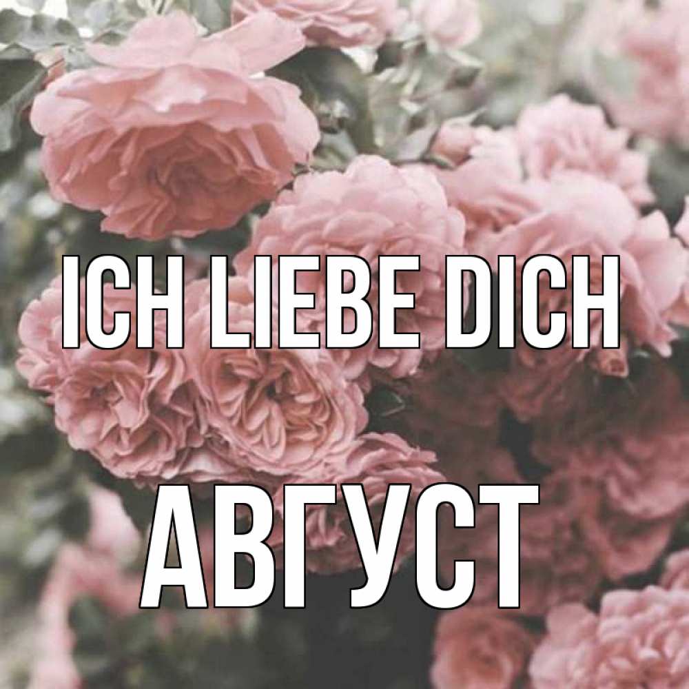 Открытка на каждый день с именем, Август Ich liebe dich розы 3 Прикольная открытка с пожеланием онлайн скачать бесплатно 
