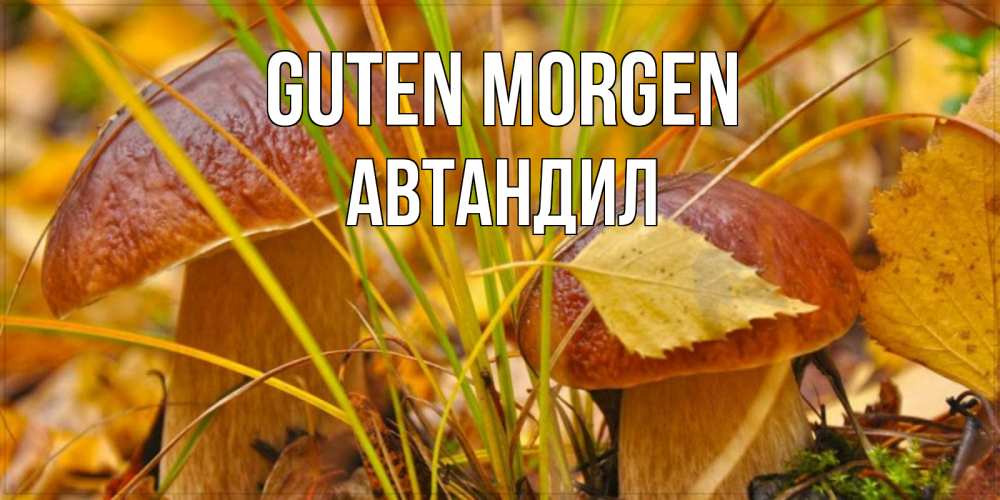 Открытка на каждый день с именем, Автандил Guten Morgen осенние грибы Прикольная открытка с пожеланием онлайн скачать бесплатно 