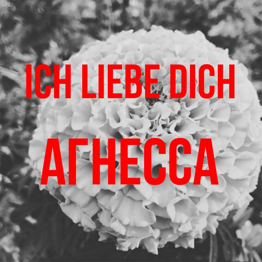 Открытка на каждый день с именем, Агнесса Ich liebe dich подпись Прикольная открытка с пожеланием онлайн скачать бесплатно 