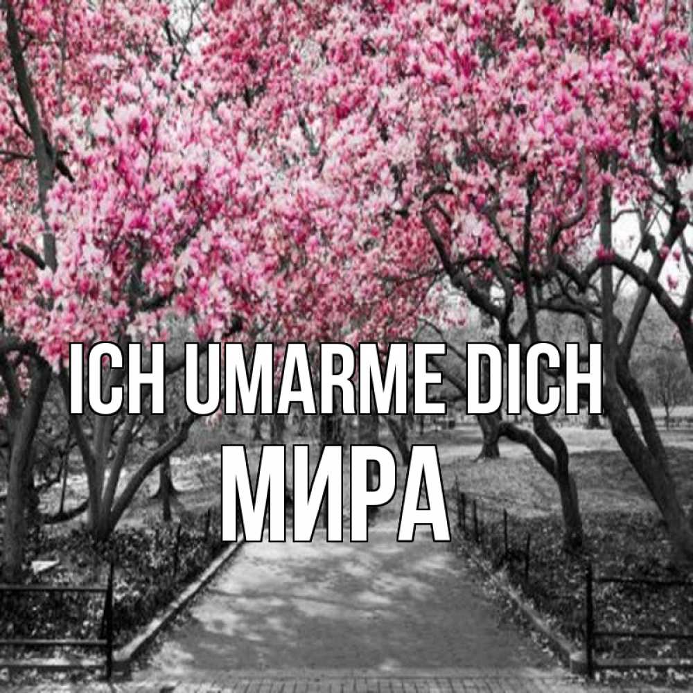 Открытка на каждый день с именем, Мира Ich umarme dich обработанное фото Прикольная открытка с пожеланием онлайн скачать бесплатно 