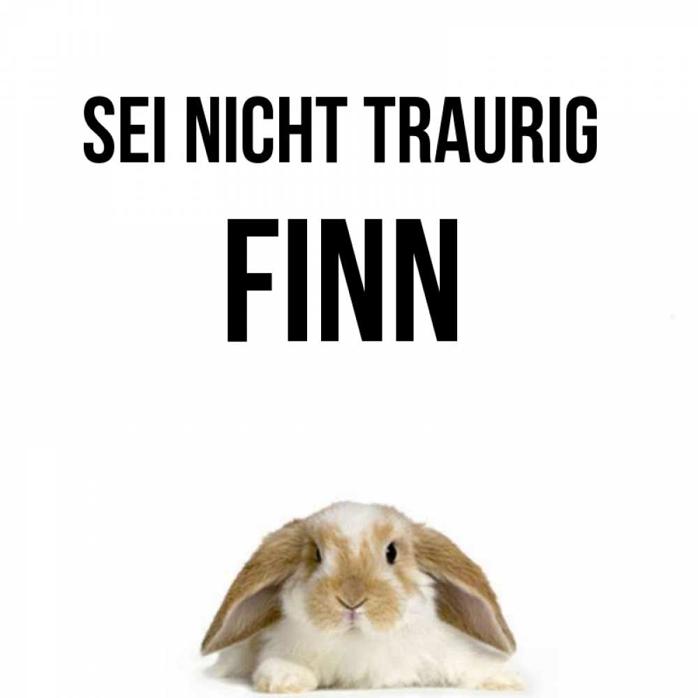 Открытка на каждый день с именем, Finn Sei nicht traurig коричнево белый заяц с большими ушками Прикольная открытка с пожеланием онлайн скачать бесплатно 