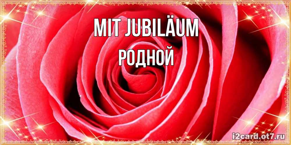 Открытка на каждый день с именем, Родной Mit Jubiläum розовая роза очень крупный бутон Прикольная открытка с пожеланием онлайн скачать бесплатно 