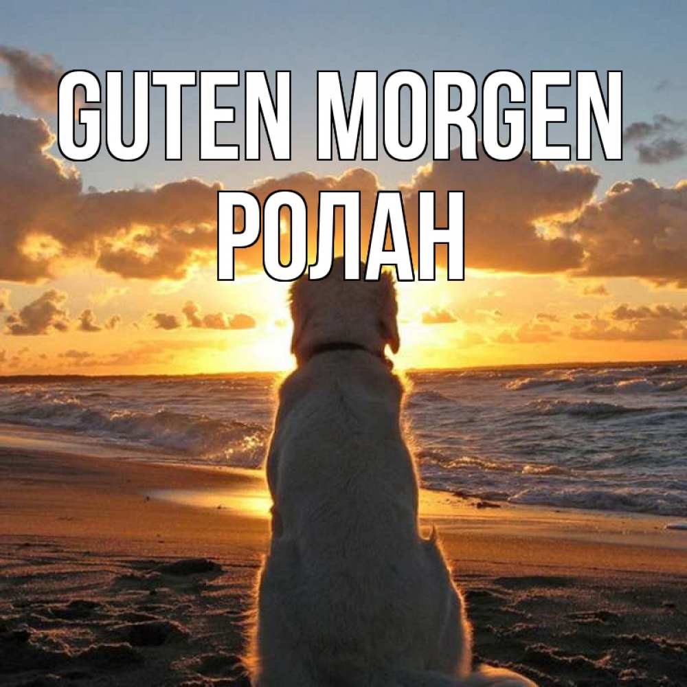 Открытка на каждый день с именем, Ролан Guten Morgen восход солнца Прикольная открытка с пожеланием онлайн скачать бесплатно 