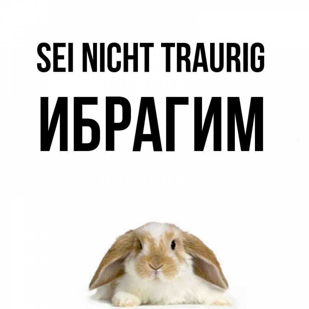 Открытка на каждый день с именем, Ибрагим Sei nicht traurig коричнево белый заяц с большими ушками Прикольная открытка с пожеланием онлайн скачать бесплатно 