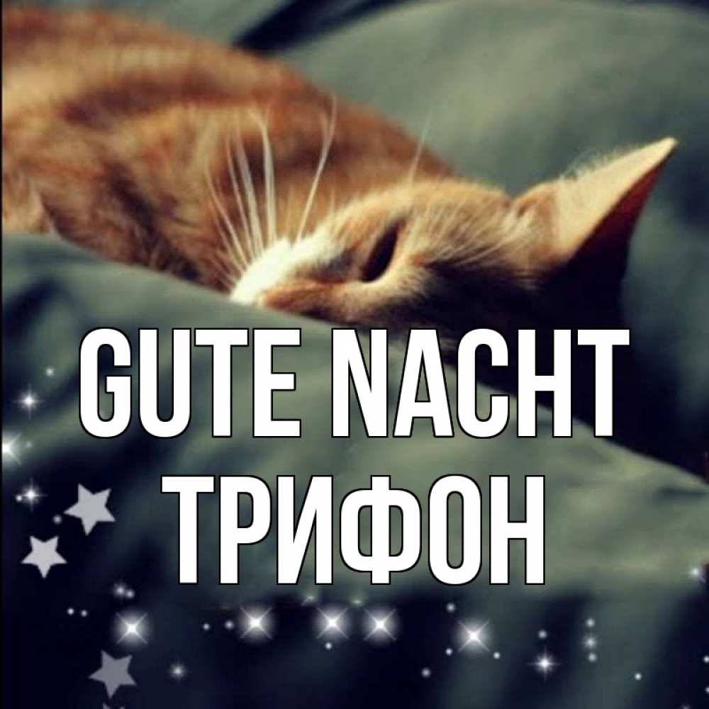 Открытка на каждый день с именем, Трифон Gute Nacht кроватка Прикольная открытка с пожеланием онлайн скачать бесплатно 