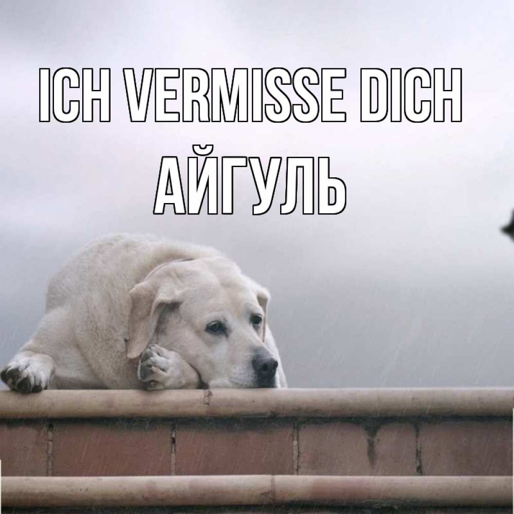 Открытка на каждый день с именем, Айгуль Ich vermisse dich ждет Прикольная открытка с пожеланием онлайн скачать бесплатно 