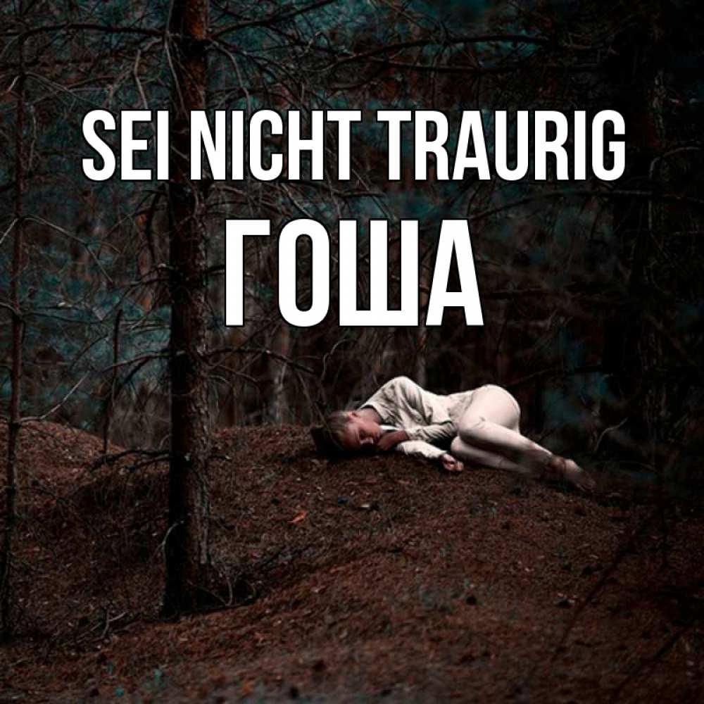 Открытка на каждый день с именем, Гоша Sei nicht traurig лес Прикольная открытка с пожеланием онлайн скачать бесплатно 