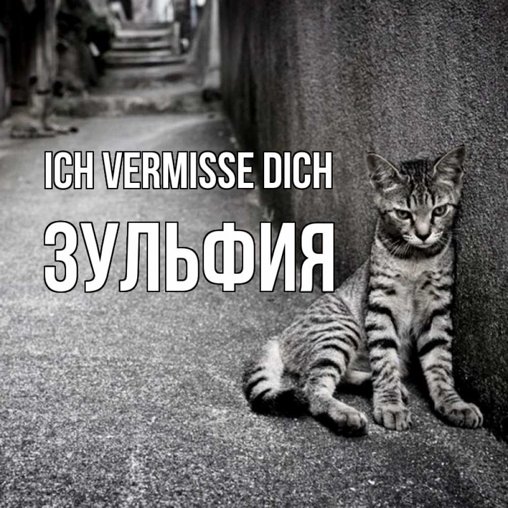 Открытка на каждый день с именем, Зульфия Ich vermisse dich одиноко котику Прикольная открытка с пожеланием онлайн скачать бесплатно 