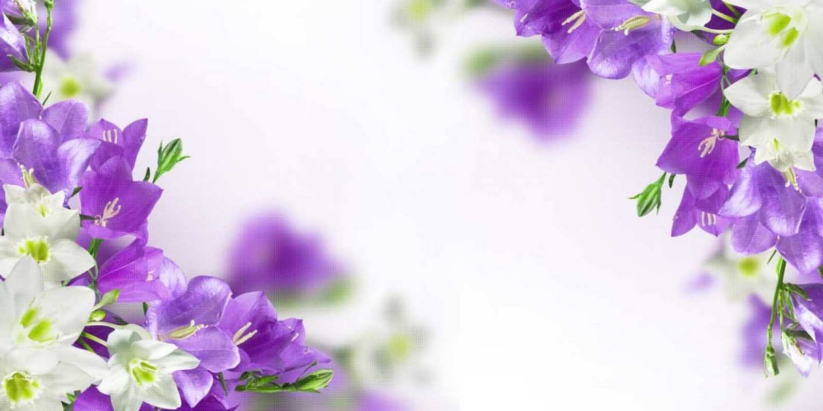 Открытка весенние цветы на открытке для родных и близких открытка на день рождения с сиреневыми цветами Mit Jubiläum 