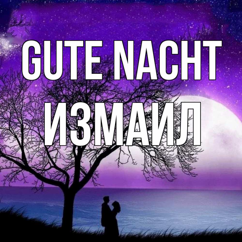 Открытка на каждый день с именем, Измаил Gute Nacht огромная луна и парочка Прикольная открытка с пожеланием онлайн скачать бесплатно 