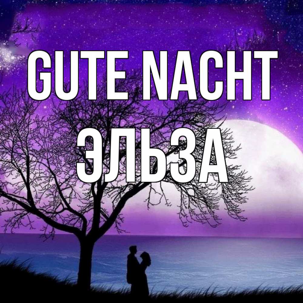 Открытка на каждый день с именем, Эльза Gute Nacht огромная луна и парочка Прикольная открытка с пожеланием онлайн скачать бесплатно 