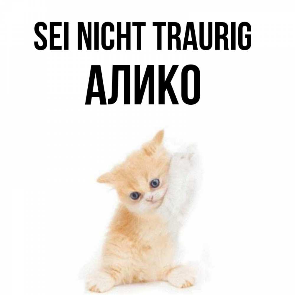 Открытка на каждый день с именем, Алико Sei nicht traurig просящий кот Прикольная открытка с пожеланием онлайн скачать бесплатно 