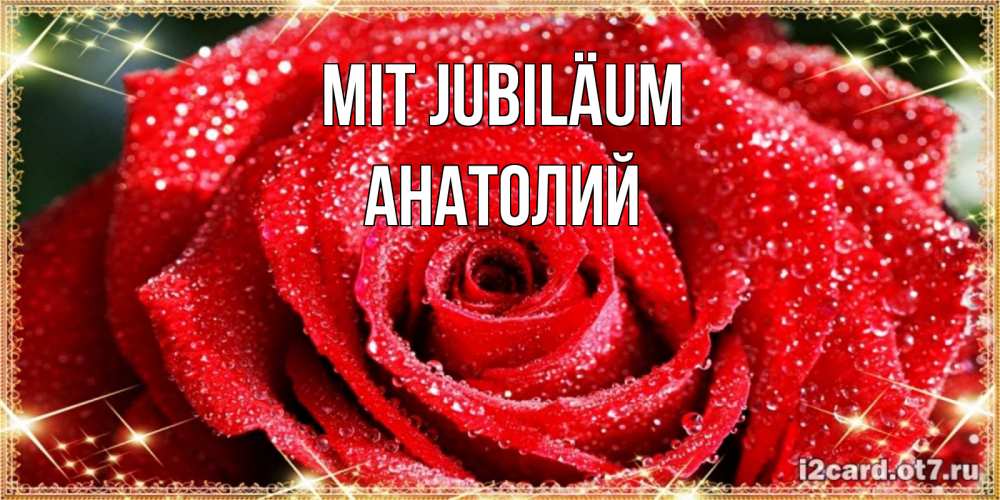 Открытка на каждый день с именем, Анатолий Mit Jubiläum роса и роза. открытка с красивой розой Прикольная открытка с пожеланием онлайн скачать бесплатно 