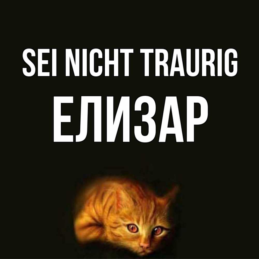 Открытка на каждый день с именем, Елизар Sei nicht traurig лежащий кот в темноте Прикольная открытка с пожеланием онлайн скачать бесплатно 