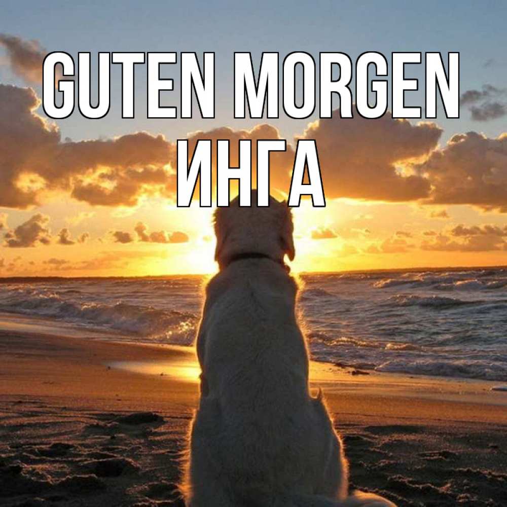 Открытка на каждый день с именем, Инга Guten Morgen восход солнца Прикольная открытка с пожеланием онлайн скачать бесплатно 
