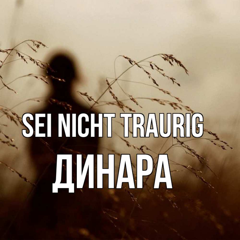 Открытка на каждый день с именем, Динара Sei nicht traurig грусть Прикольная открытка с пожеланием онлайн скачать бесплатно 