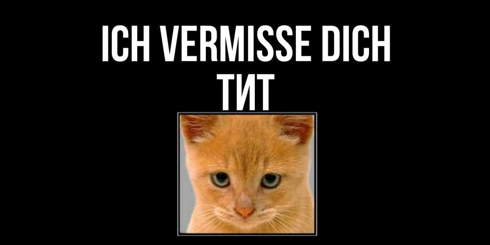 Открытка на каждый день с именем, Тит Ich vermisse dich открытки рыжий котенок скучает по тебе Прикольная открытка с пожеланием онлайн скачать бесплатно 