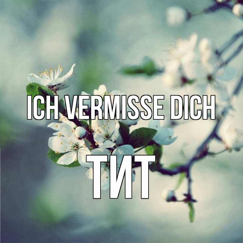Открытка на каждый день с именем, Тит Ich vermisse dich весна Прикольная открытка с пожеланием онлайн скачать бесплатно 