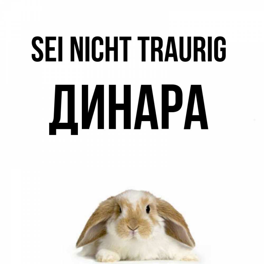 Открытка на каждый день с именем, Динара Sei nicht traurig коричнево белый заяц с большими ушками Прикольная открытка с пожеланием онлайн скачать бесплатно 