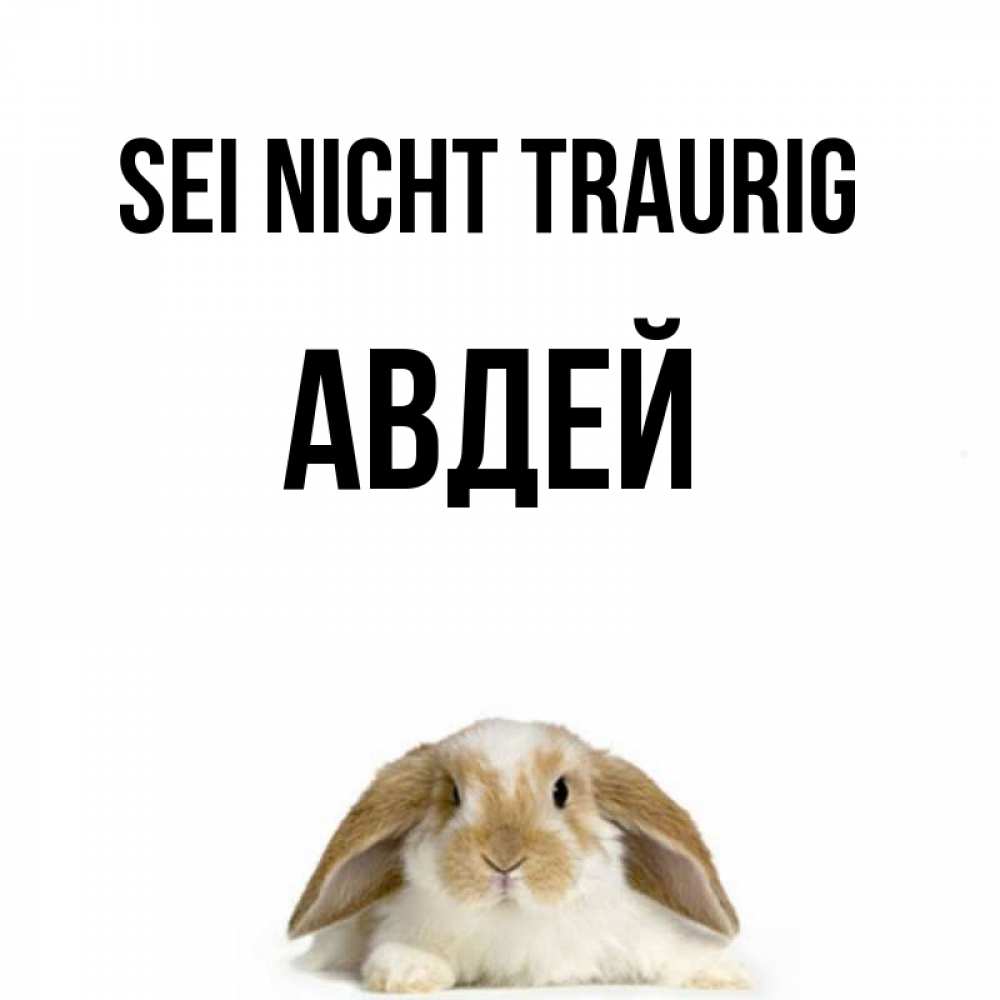 Открытка на каждый день с именем, Авдей Sei nicht traurig коричнево белый заяц с большими ушками Прикольная открытка с пожеланием онлайн скачать бесплатно 
