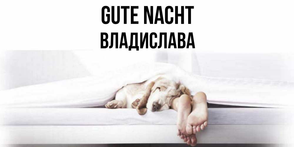 Открытка на каждый день с именем, Владислава Gute Nacht кровать с собакой пожелание сладких снов и спокойной ночи Прикольная открытка с пожеланием онлайн скачать бесплатно 