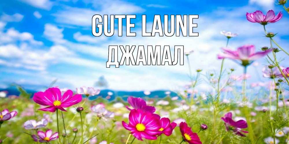 Открытка на каждый день с именем, Джамал Gute Laune поле цветов Прикольная открытка с пожеланием онлайн скачать бесплатно 