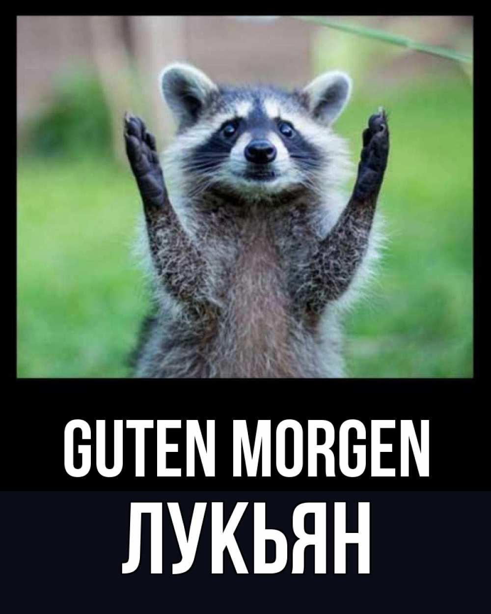 Открытка на каждый день с именем, Лукьян Guten Morgen хорошее настроение утречком Прикольная открытка с пожеланием онлайн скачать бесплатно 
