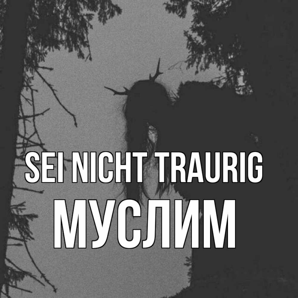 Открытка на каждый день с именем, Муслим Sei nicht traurig чудище лесное Прикольная открытка с пожеланием онлайн скачать бесплатно 
