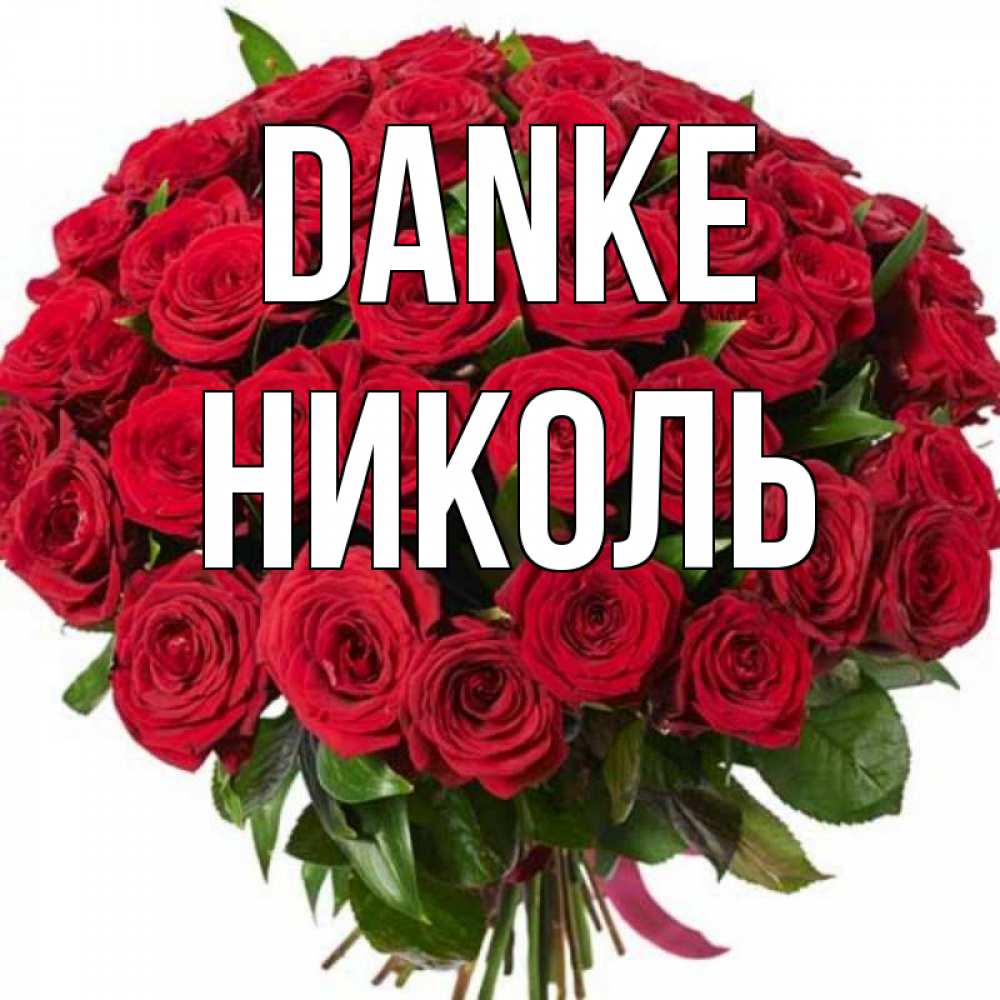 Открытка на каждый день с именем, Николь Danke букет красных роз Прикольная открытка с пожеланием онлайн скачать бесплатно 