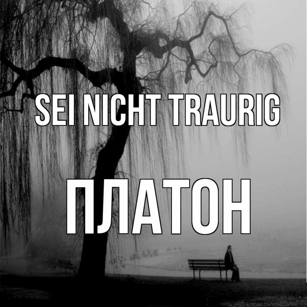 Открытка на каждый день с именем, Платон Sei nicht traurig висящие ветки дерева и лавочка под деревом Прикольная открытка с пожеланием онлайн скачать бесплатно 