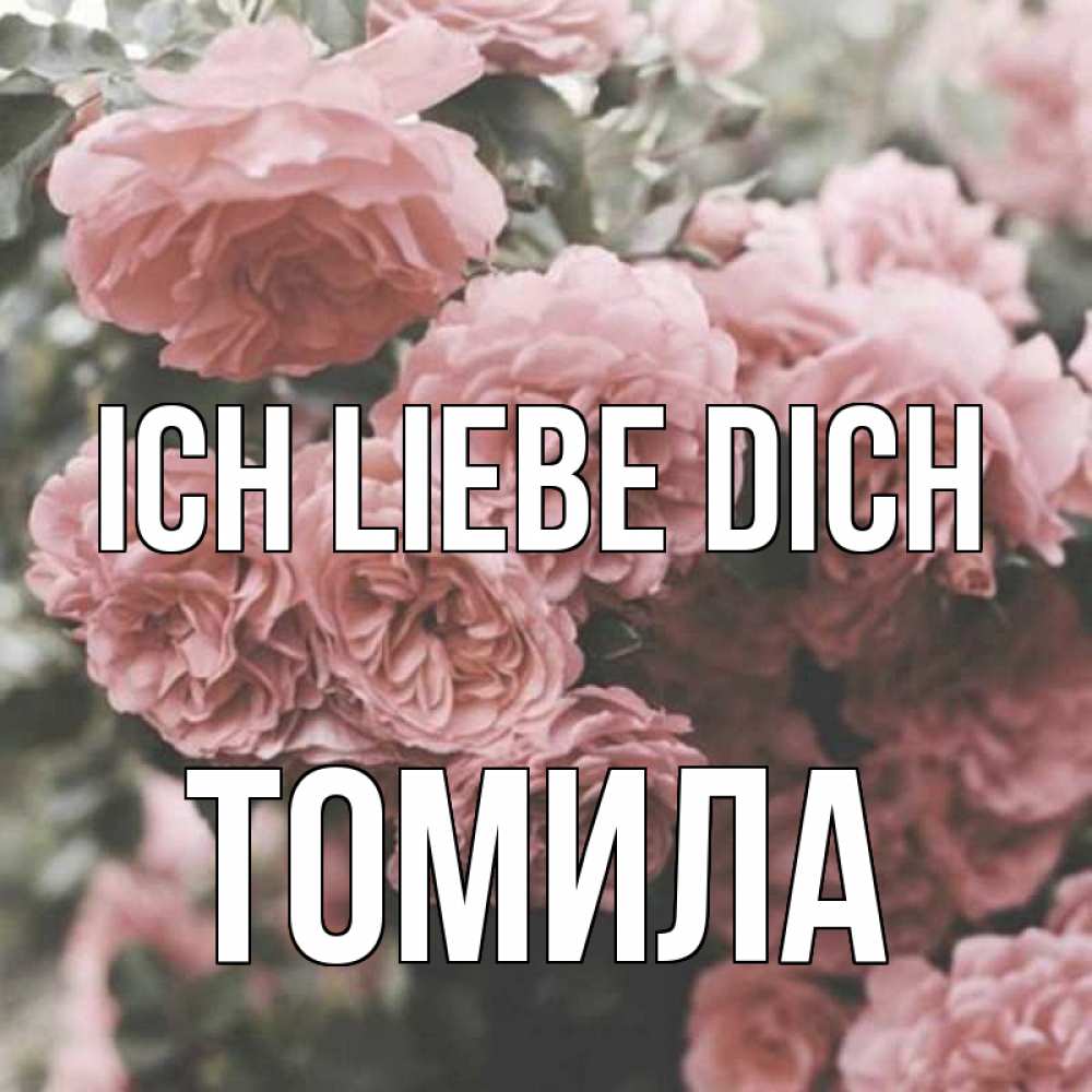 Открытка на каждый день с именем, Томила Ich liebe dich розы 3 Прикольная открытка с пожеланием онлайн скачать бесплатно 