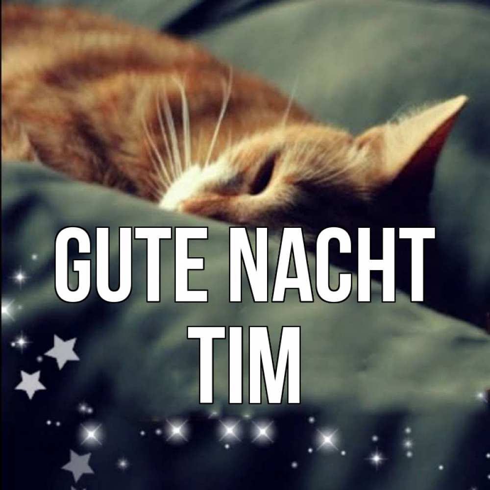 Открытка на каждый день с именем, Tim Gute Nacht кроватка Прикольная открытка с пожеланием онлайн скачать бесплатно 
