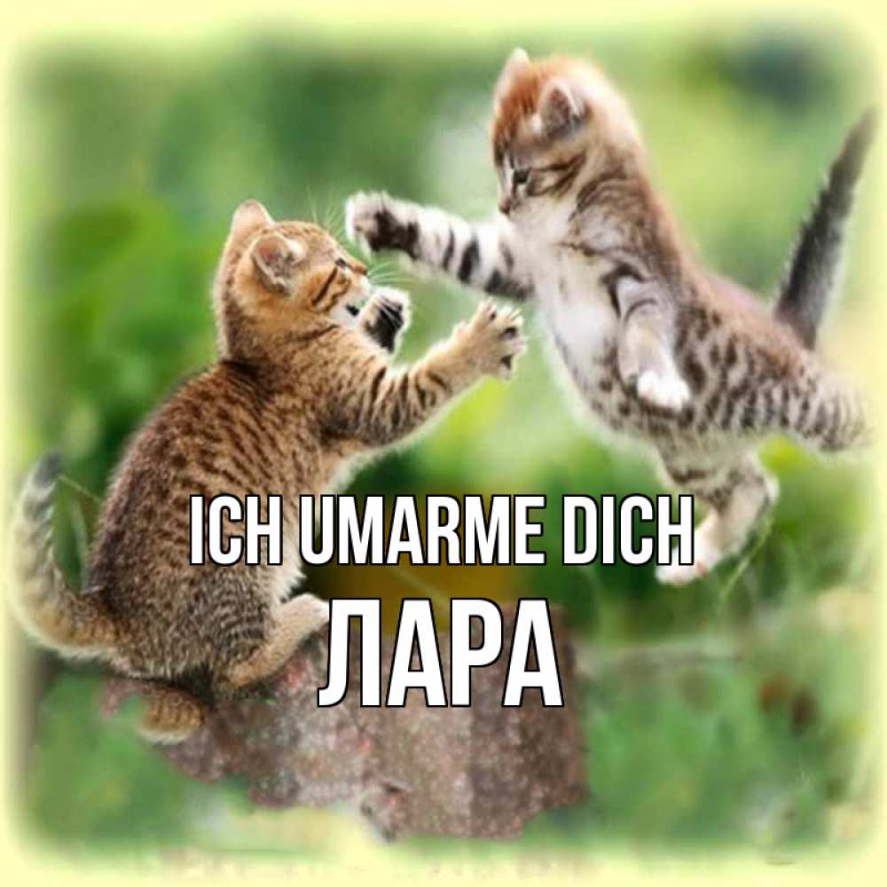 Открытка на каждый день с именем, Лара Ich umarme dich игры котят Прикольная открытка с пожеланием онлайн скачать бесплатно 
