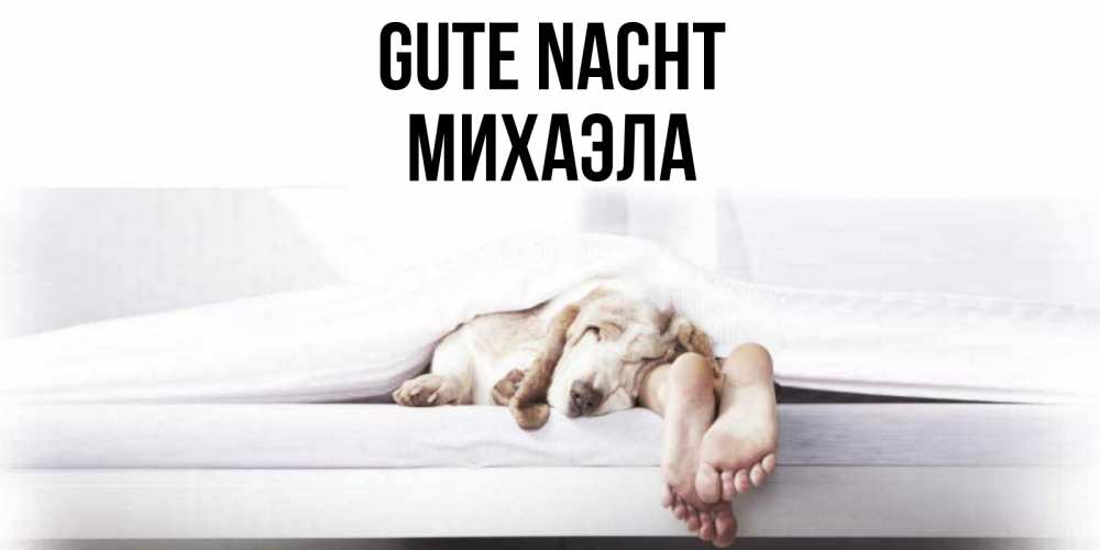 Открытка на каждый день с именем, Михаэла Gute Nacht кровать с собакой пожелание сладких снов и спокойной ночи Прикольная открытка с пожеланием онлайн скачать бесплатно 
