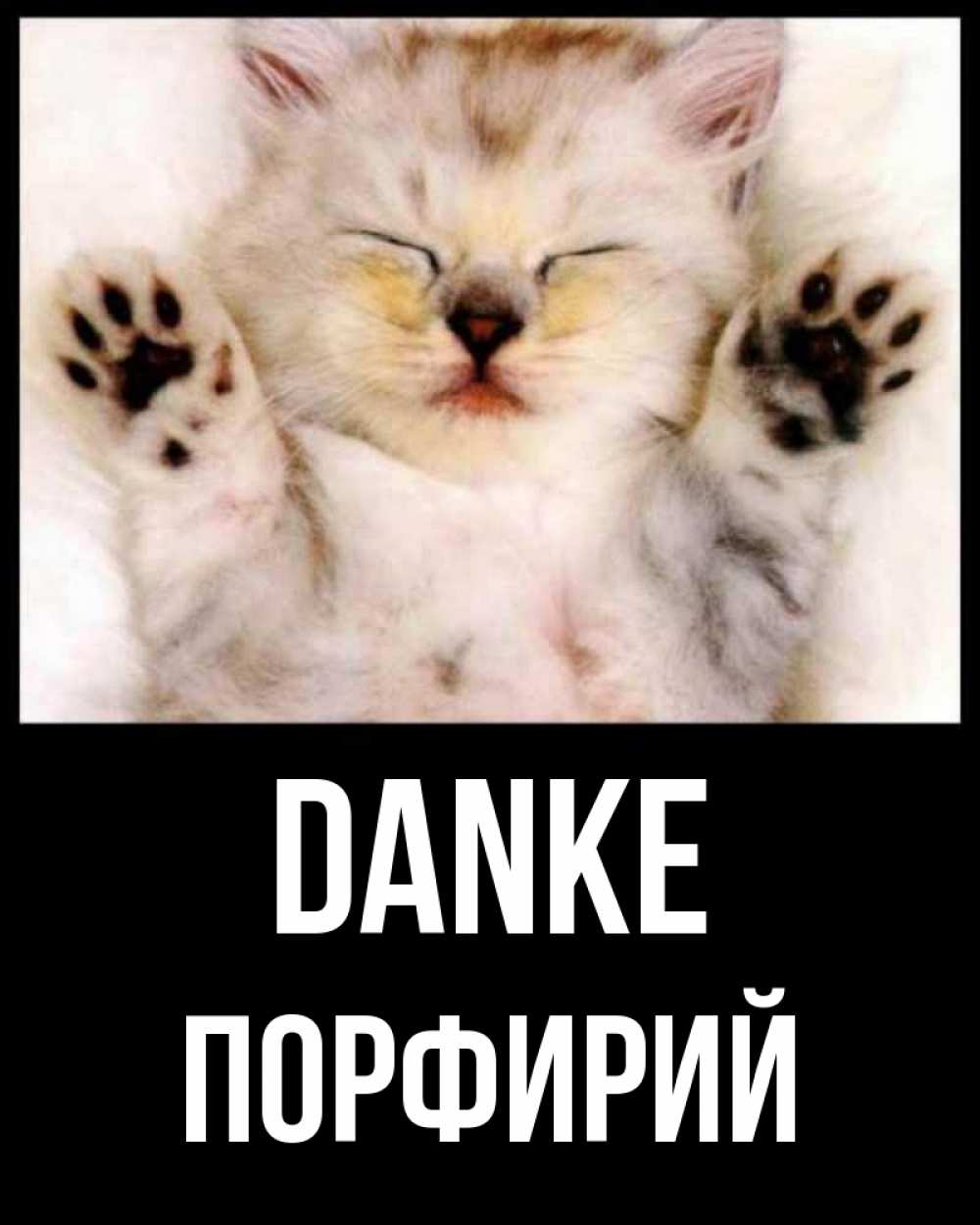 Открытка на каждый день с именем, Порфирий Danke маленький котенок Прикольная открытка с пожеланием онлайн скачать бесплатно 