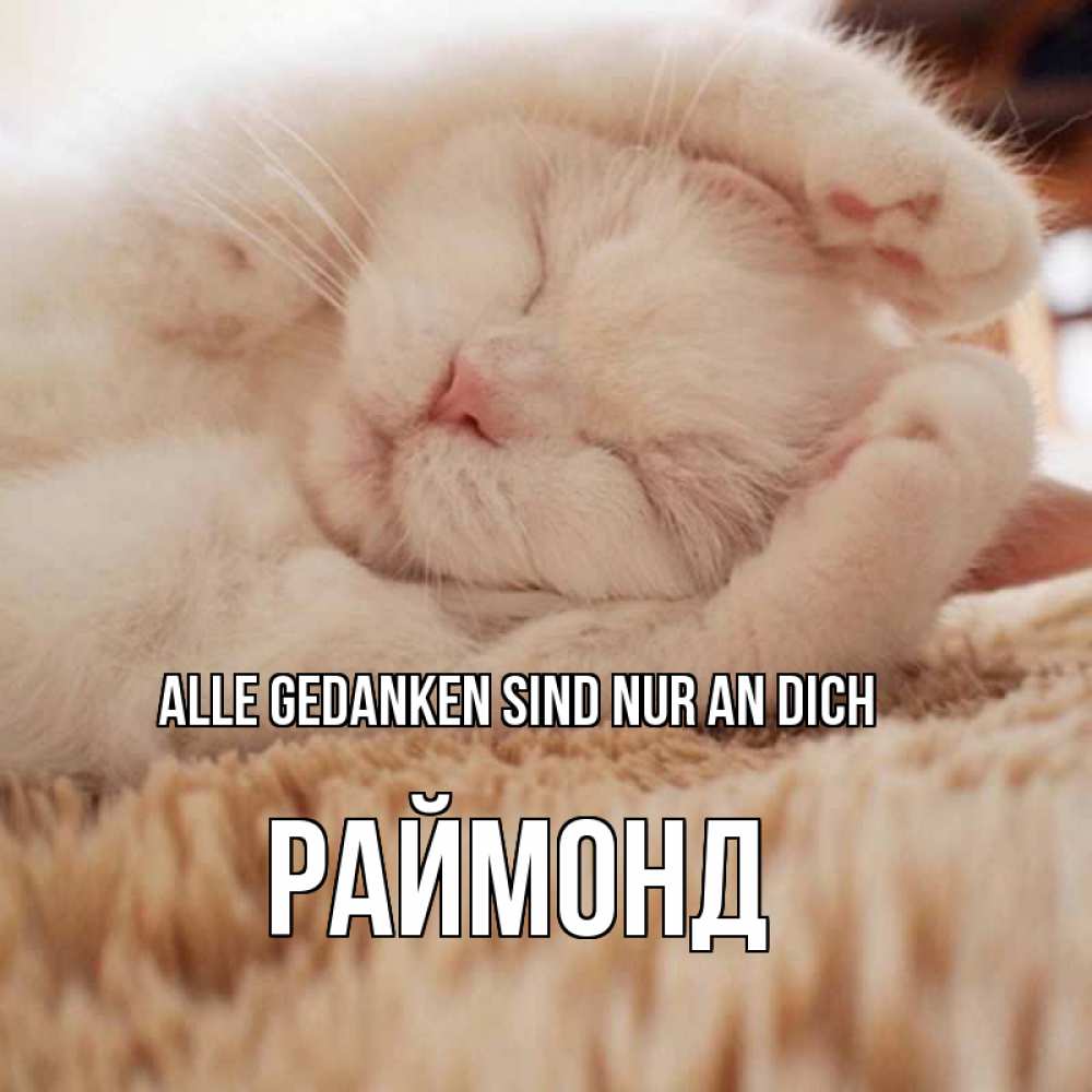 Открытка на каждый день с именем, Раймонд Alle Gedanken sind nur an dich для любимой девушки милота Прикольная открытка с пожеланием онлайн скачать бесплатно 