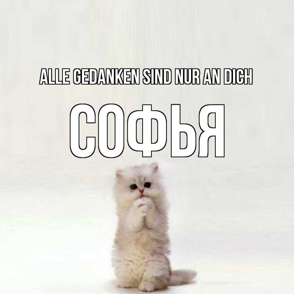 Открытка на каждый день с именем, Софья Alle Gedanken sind nur an dich кот стоит на задних лапах Прикольная открытка с пожеланием онлайн скачать бесплатно 